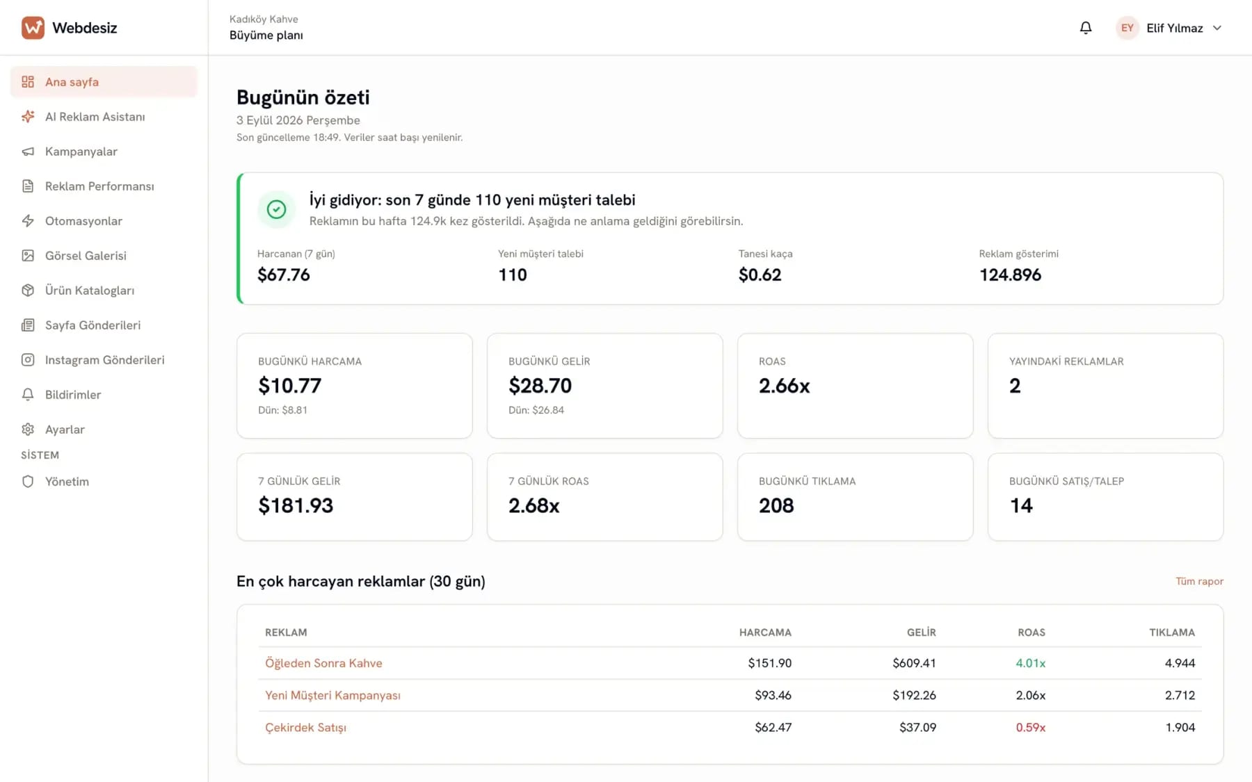 Main panel screen: today’s summary and the ads spending the most